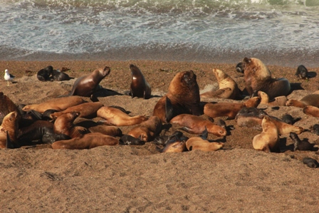 Santa Teresa, Península Valdés