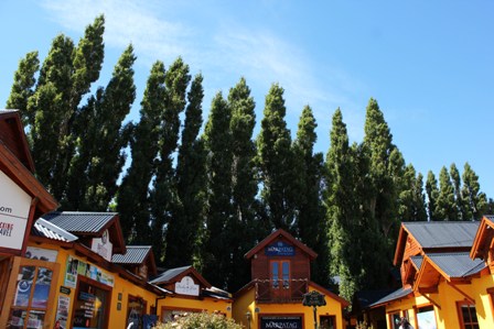 Trees and wooden houses in El Calafate