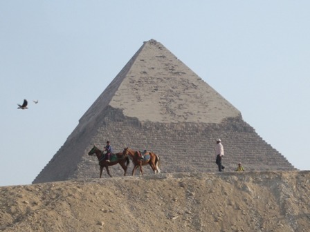 Horses by Chephren Pyramid