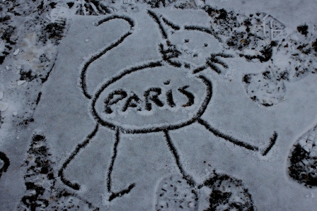 A Parisian cat drawn in the snow