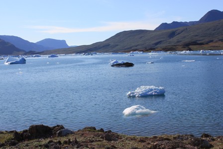 Small icebergs on Sermilik Fjord, near Tasiusaq