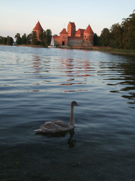 Trakai Island Castle: Isn't that a fairytale view?