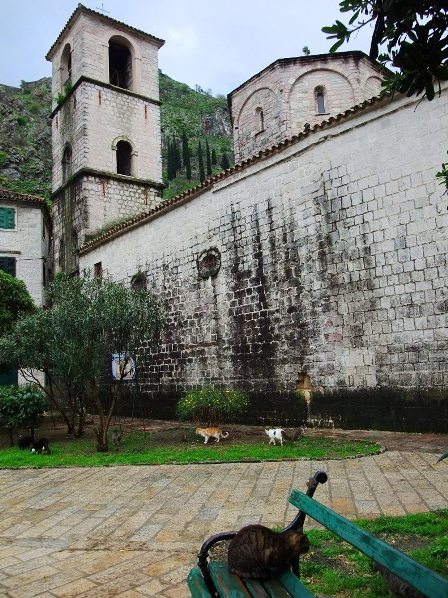 Mountains and the town of Kotor in Montenegro