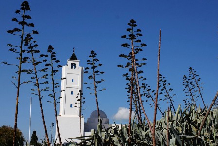 Mosque El Ghofrane in Sidi Bou Said